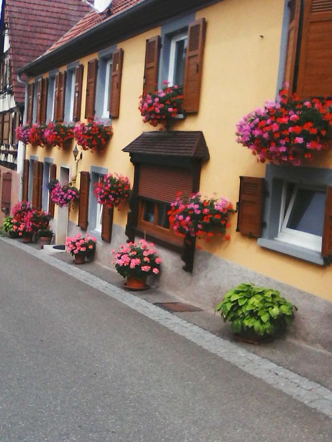 Relais De La Diligence Appartement Romanswiller Buitenkant foto